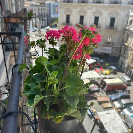 Beneventano * Catania